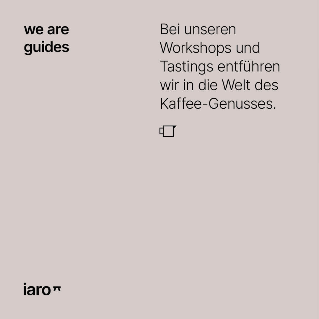 morgen & heute iaro